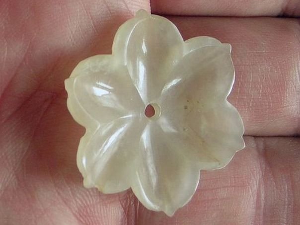 Flower 628 - (2161)